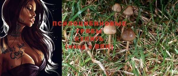 ECSTASY Алексин
