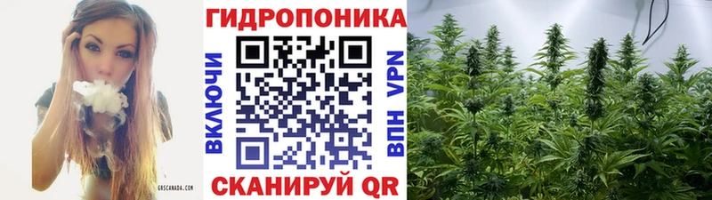 Бошки Шишки планчик  Новоульяновск 